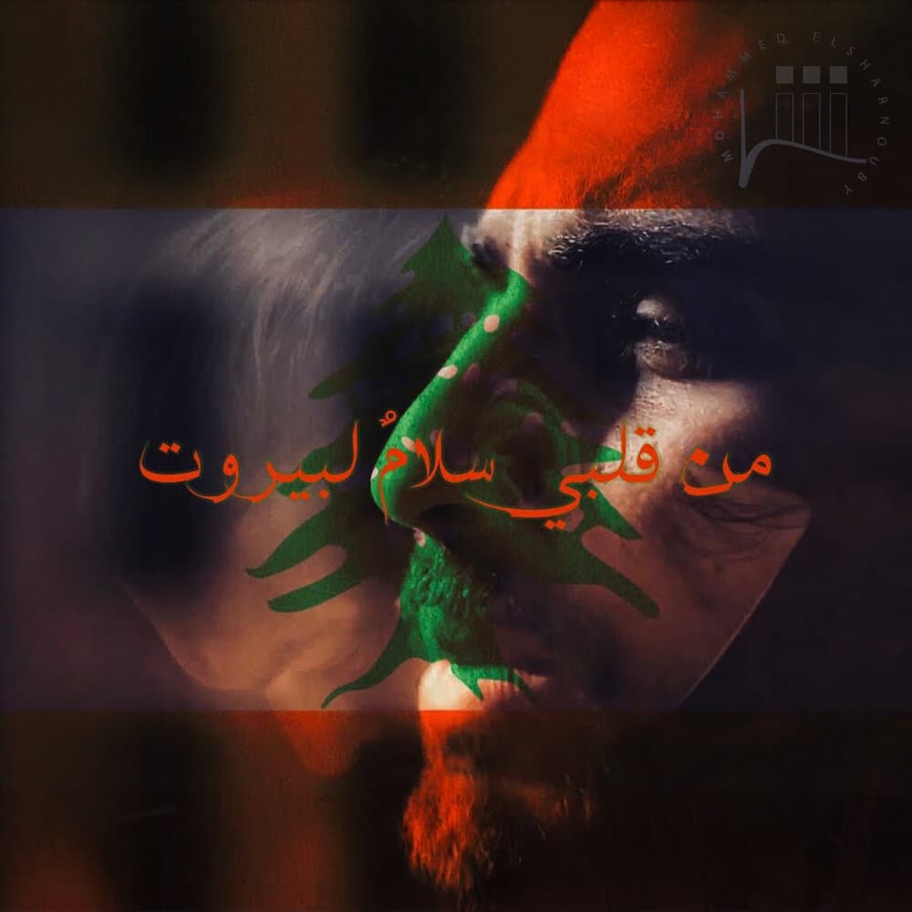 مصطفى الحلوانى