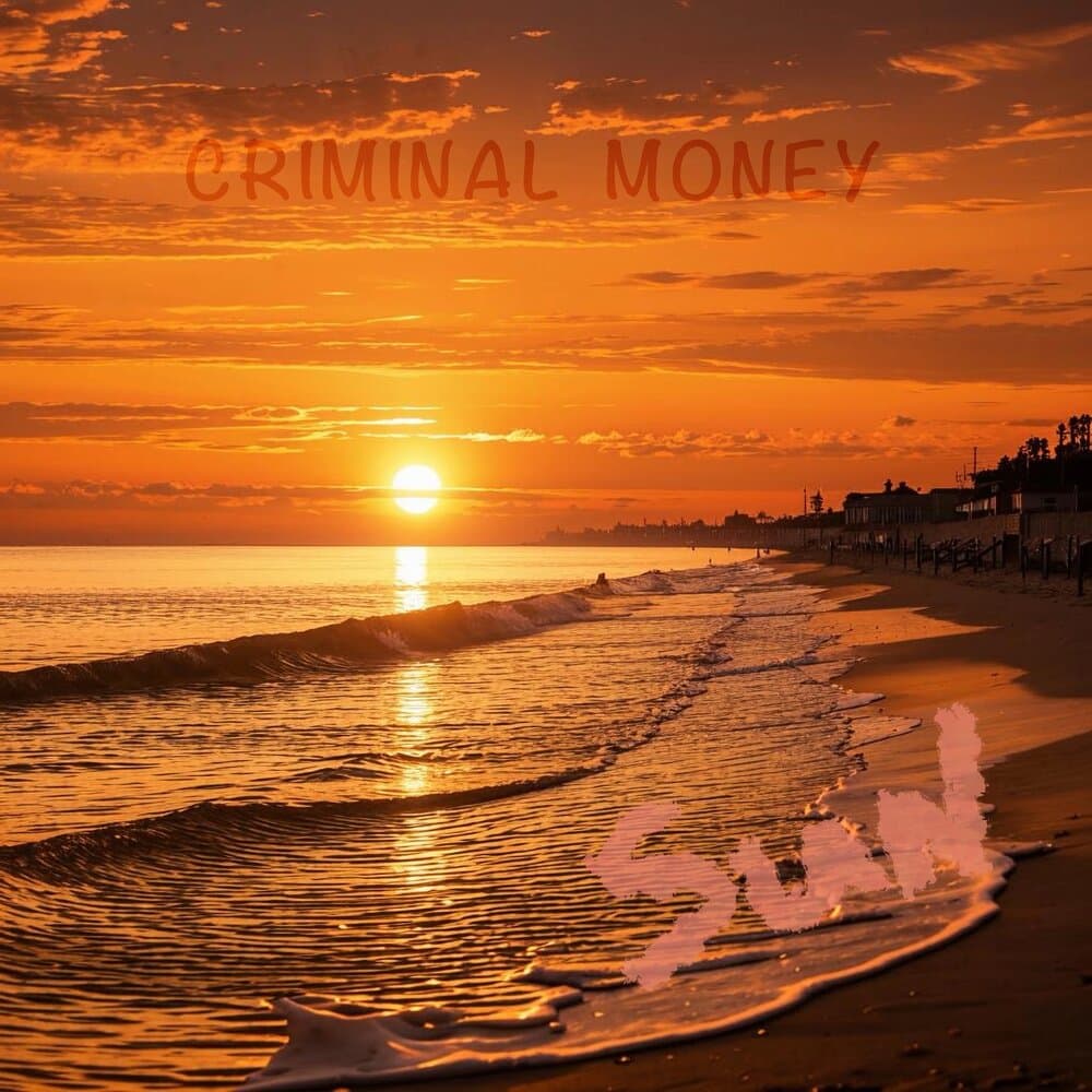 Criminal Money