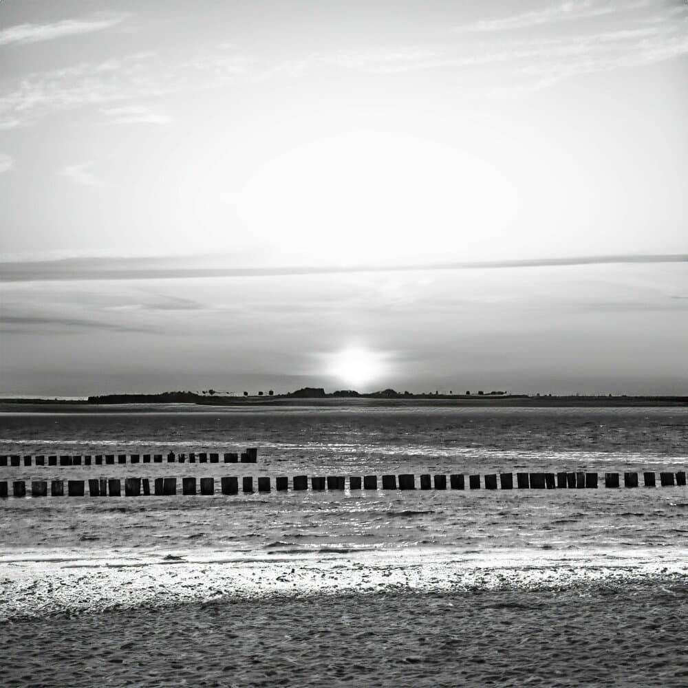 Judith van Waterkant