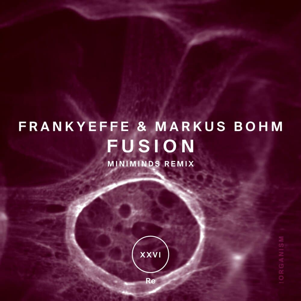 Markus Bohm