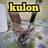 Kulon