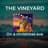 The Vineyard