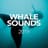 Whale Sounds