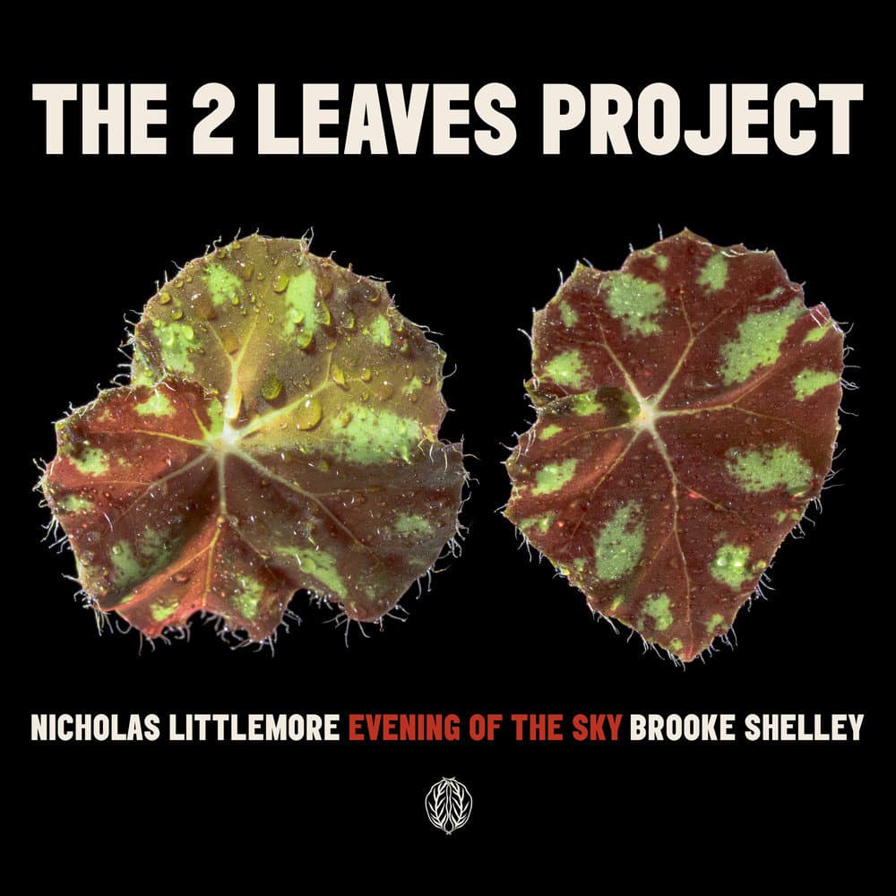 Nicholas Littlemore’s The Two Leaves Project