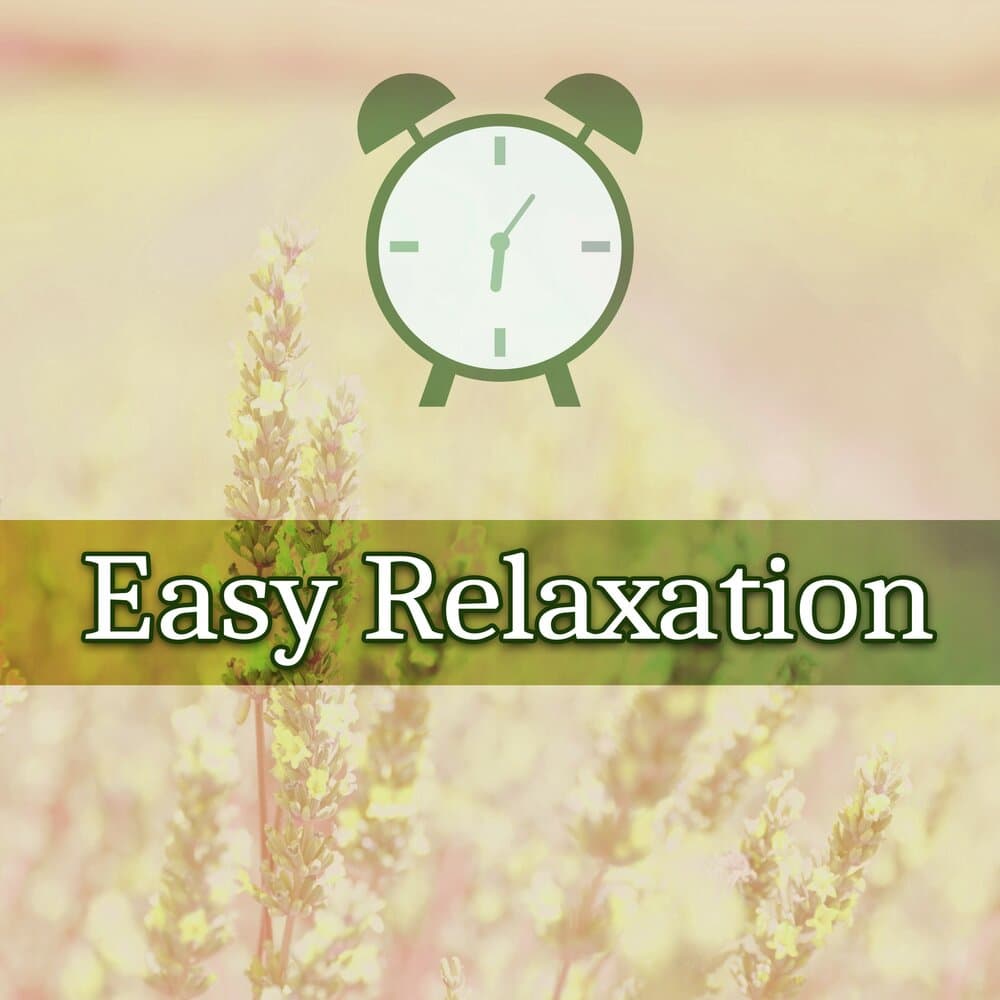 Fast Sleeping Sanctuary