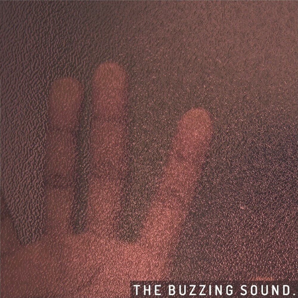 The Buzzing Sound