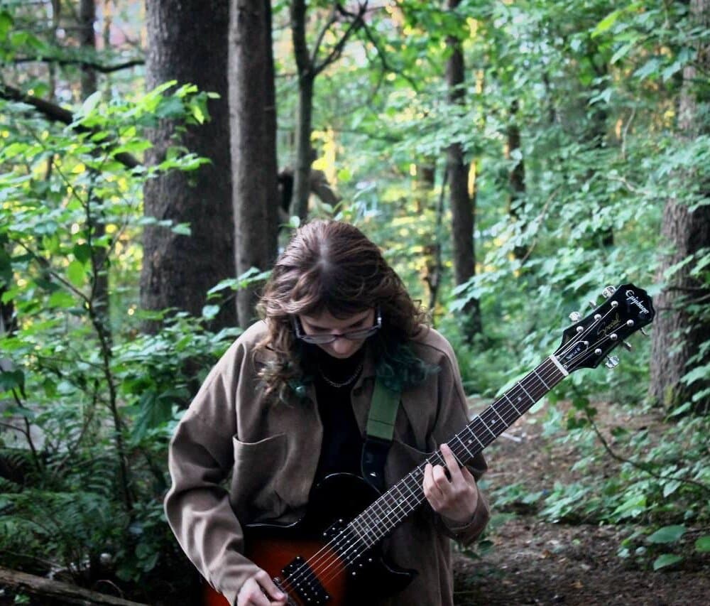 хвойная веточка