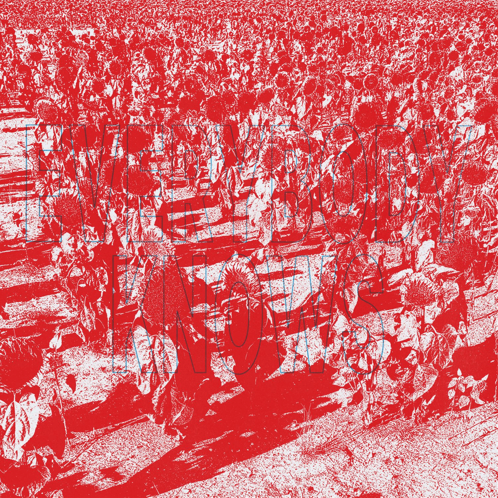 The Bony King of Nowhere