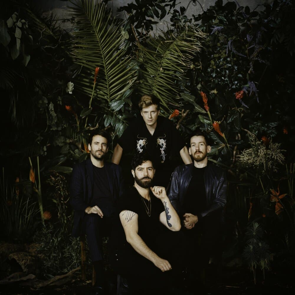 Foals