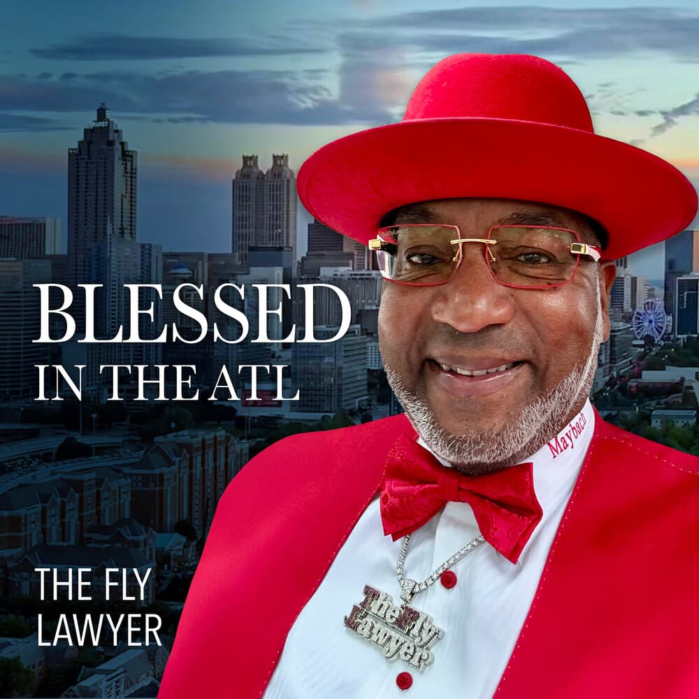 THE FLY LAWYER