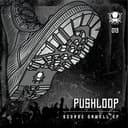 Pushloop
