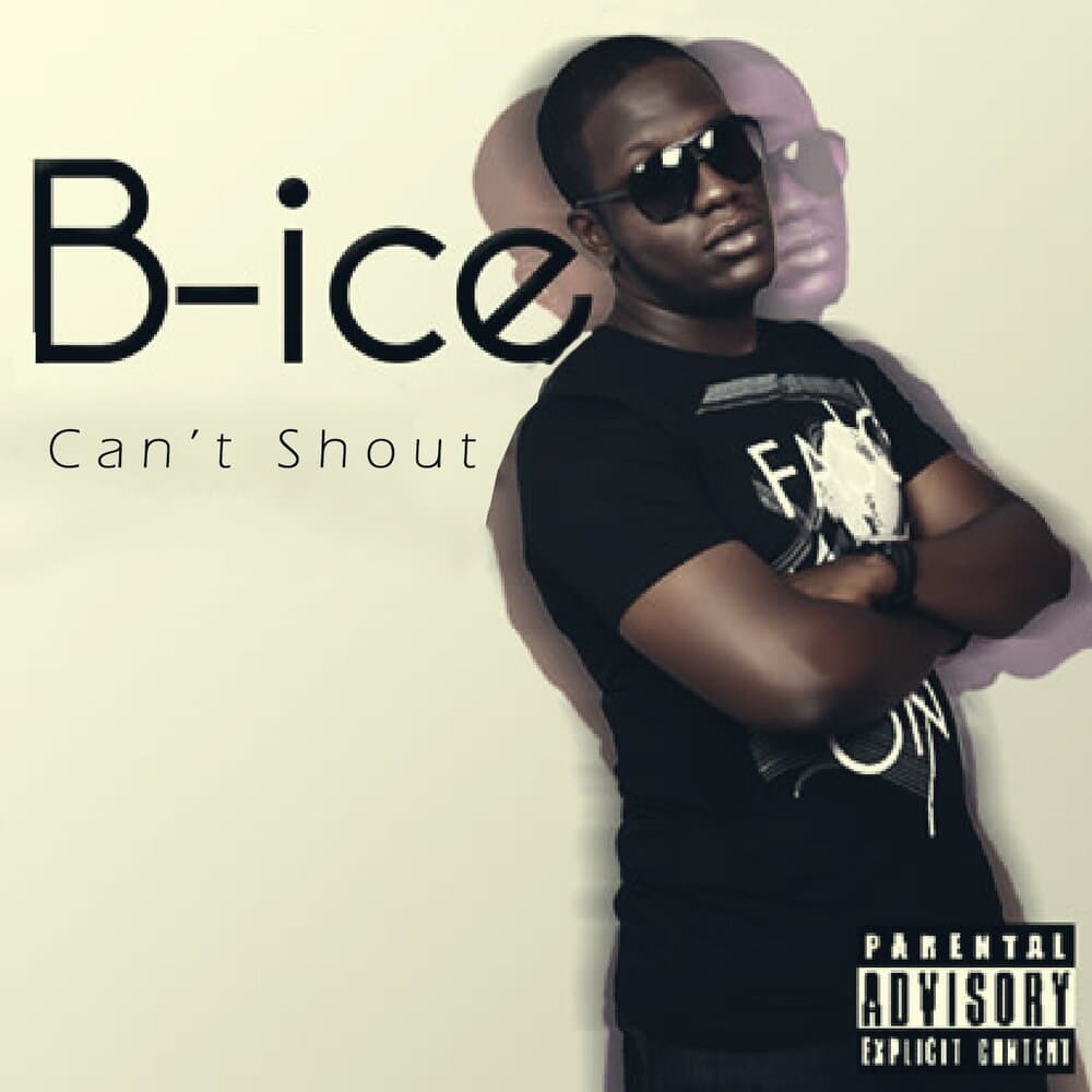 B-Ice