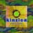 Kinzica