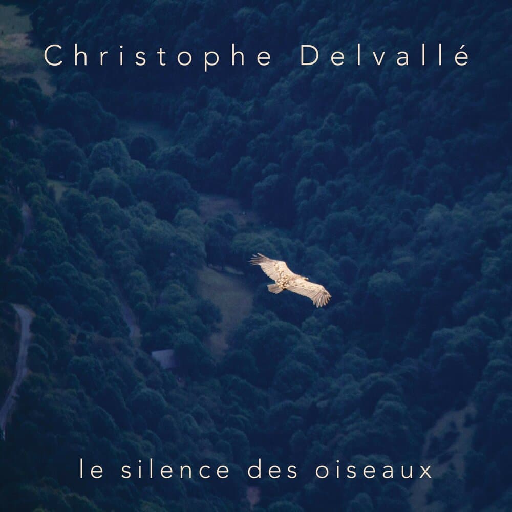 Christophe Delvallé