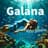 Galana