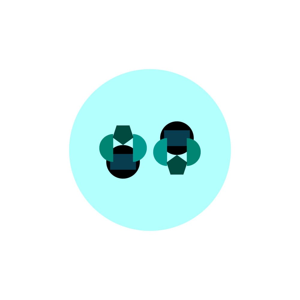 Terrestrial Access Network