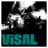 Visal