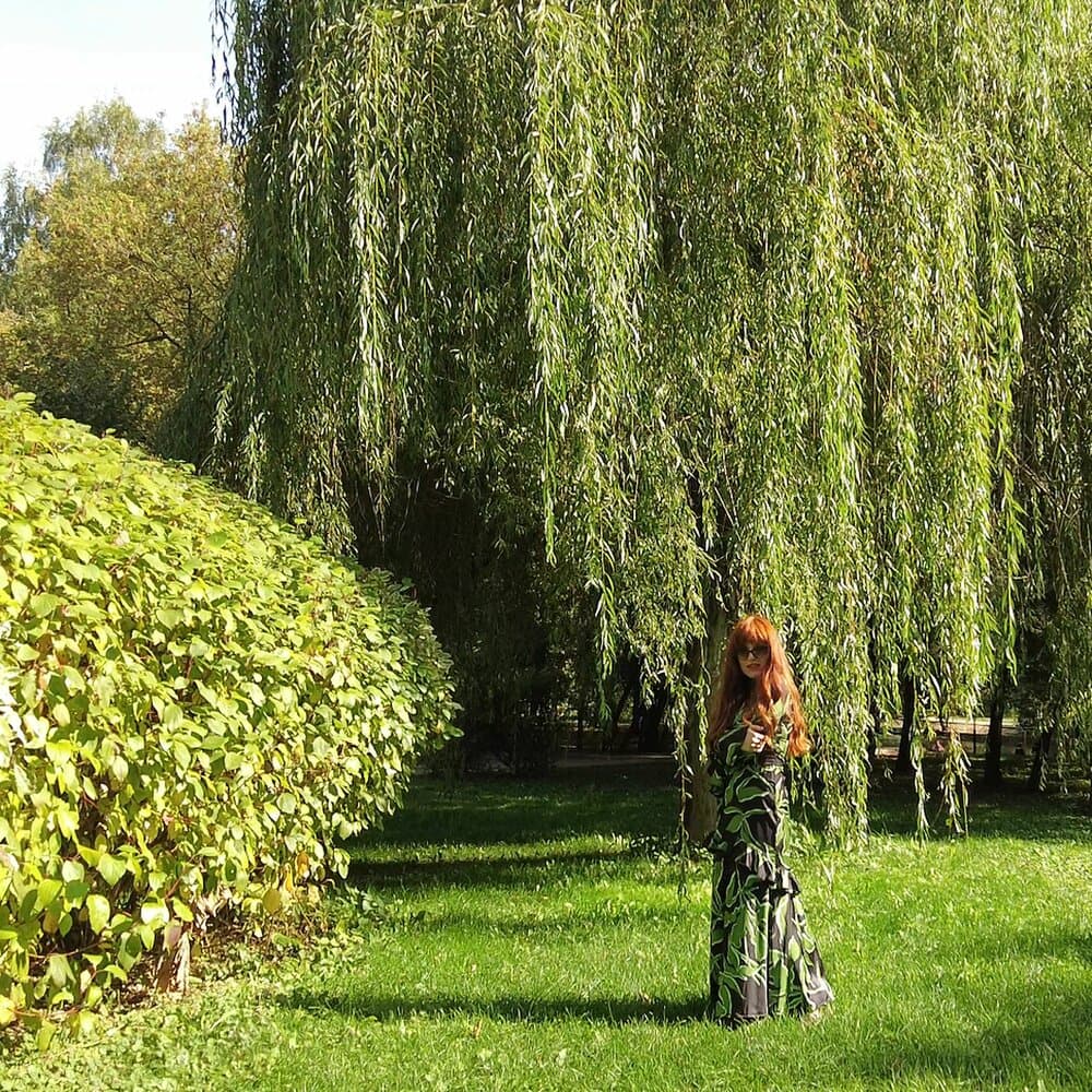 Елена Красова