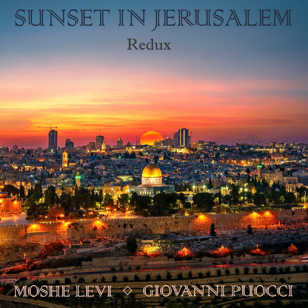 Moshe Levi