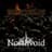 Northvoid