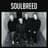 SoulBreed
