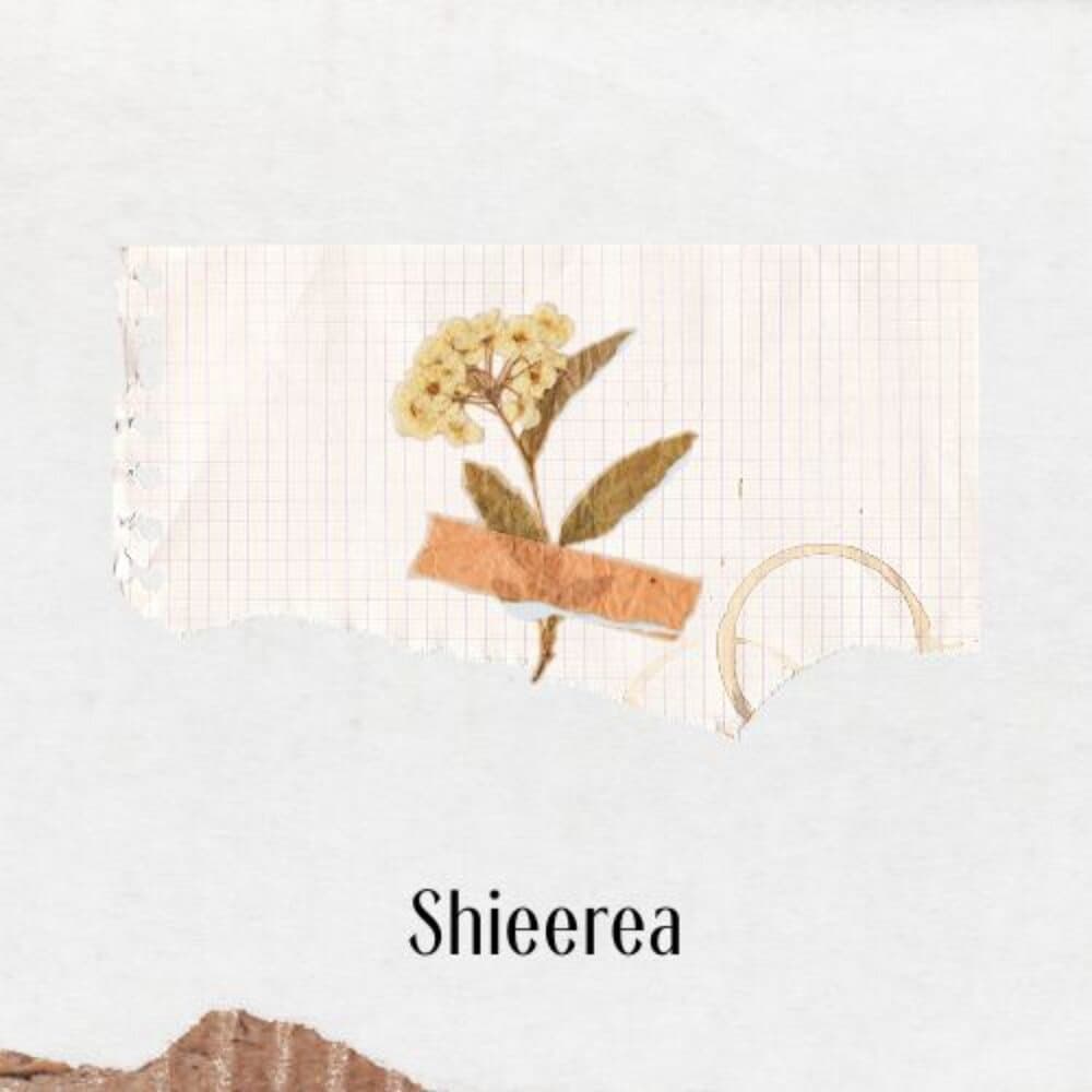 Shieerea Music