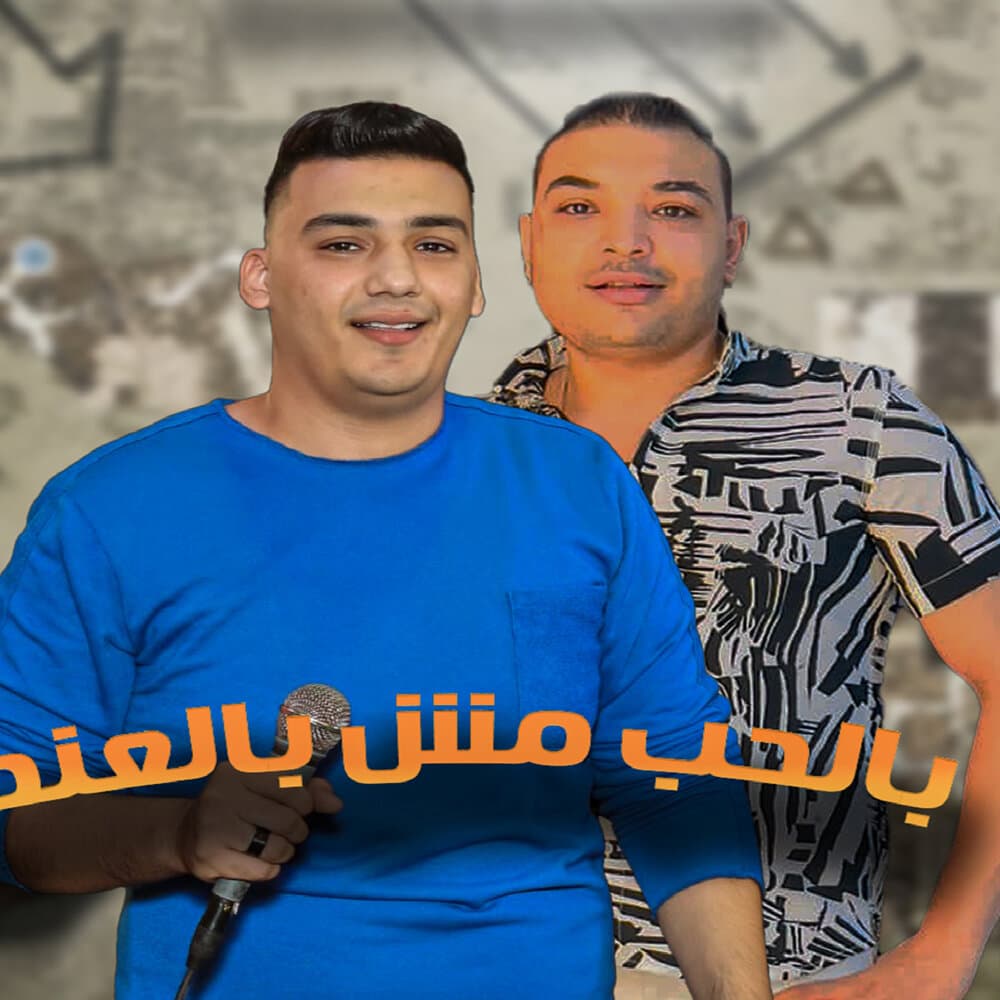 احمد البحراوى