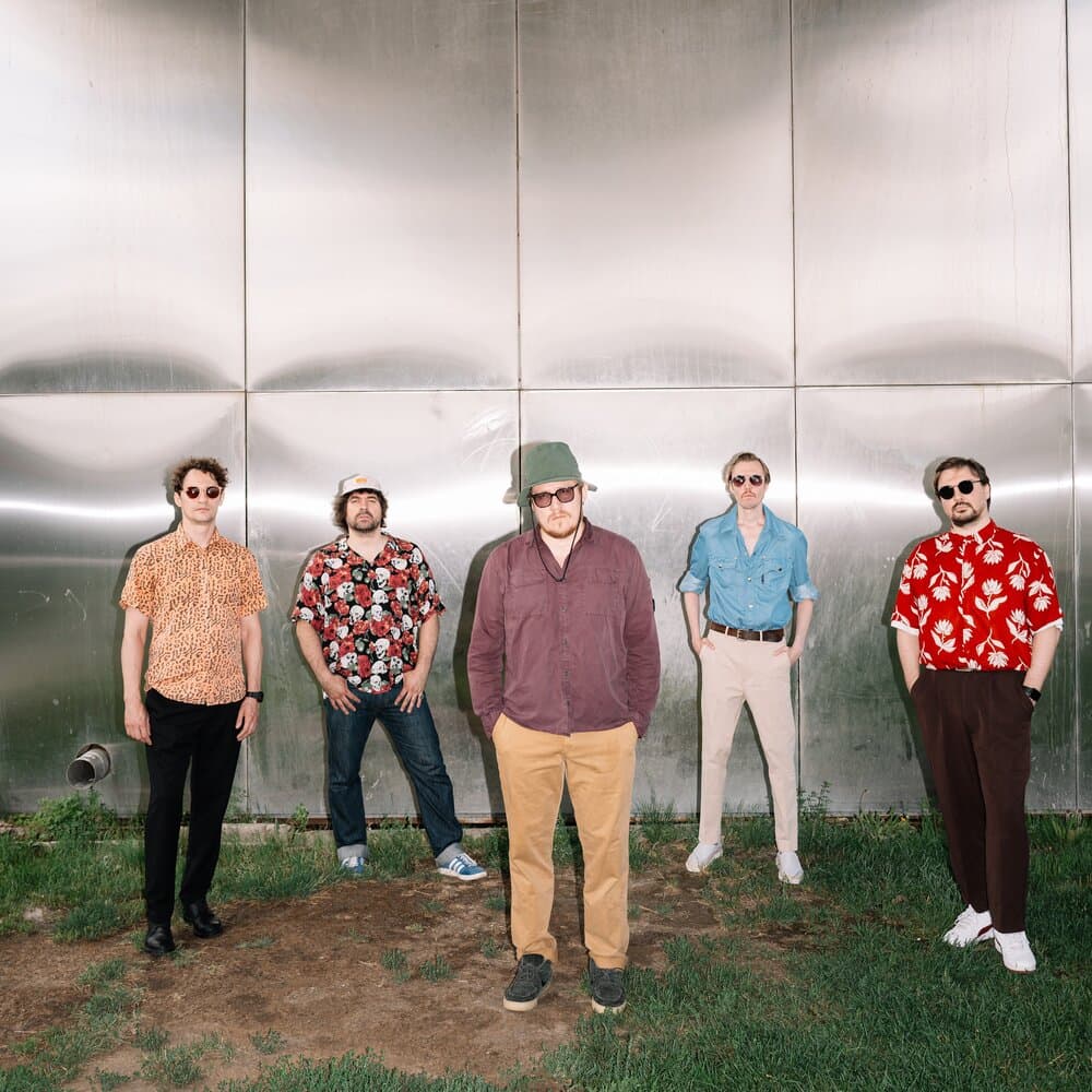 редкие птицы