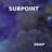 Subpoint