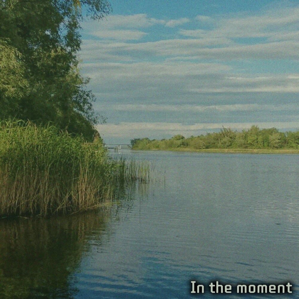 Кусок Колбасы