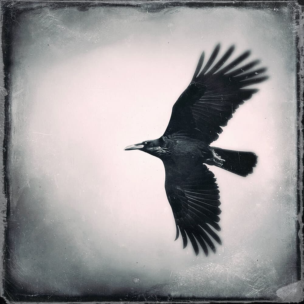 Седьмая Редакция