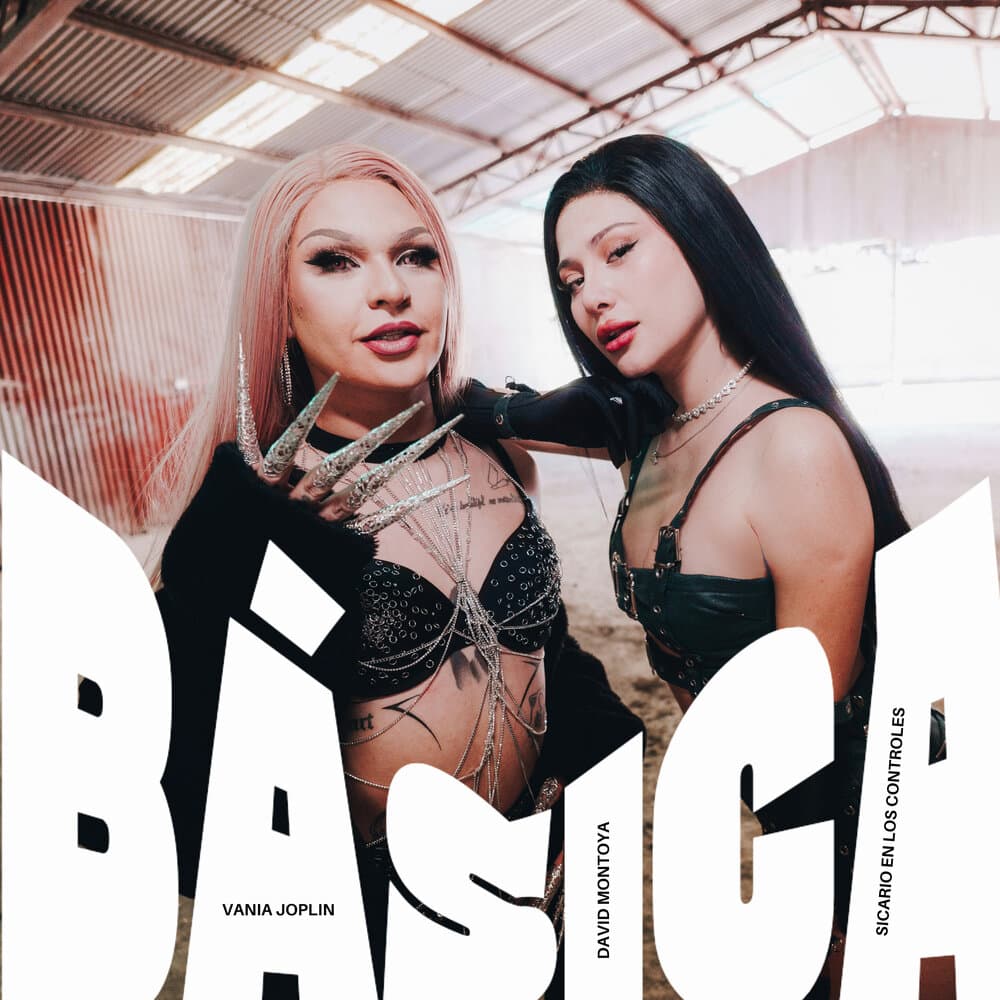 Sicario en los controles