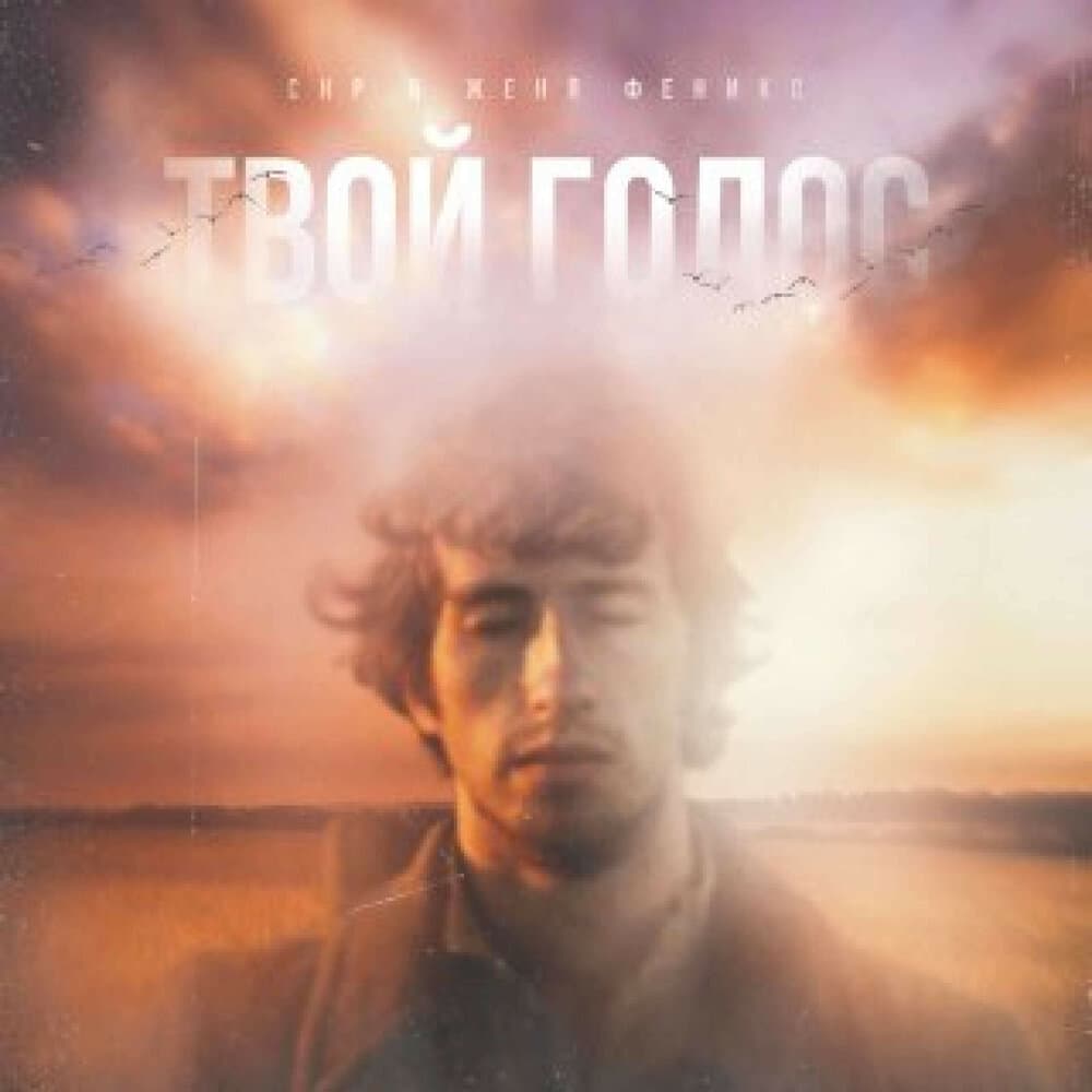 Женя феникс