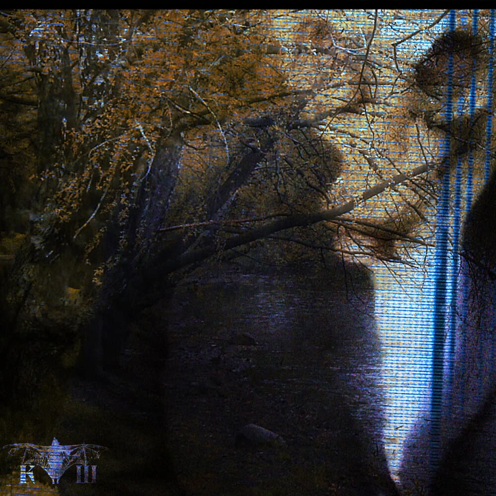 курт шипман