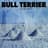 Bull Terrier