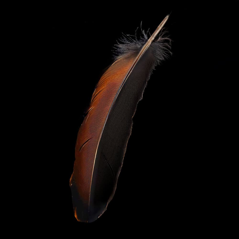 Phillip Boa & The Voodooclub