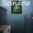 Spirulina