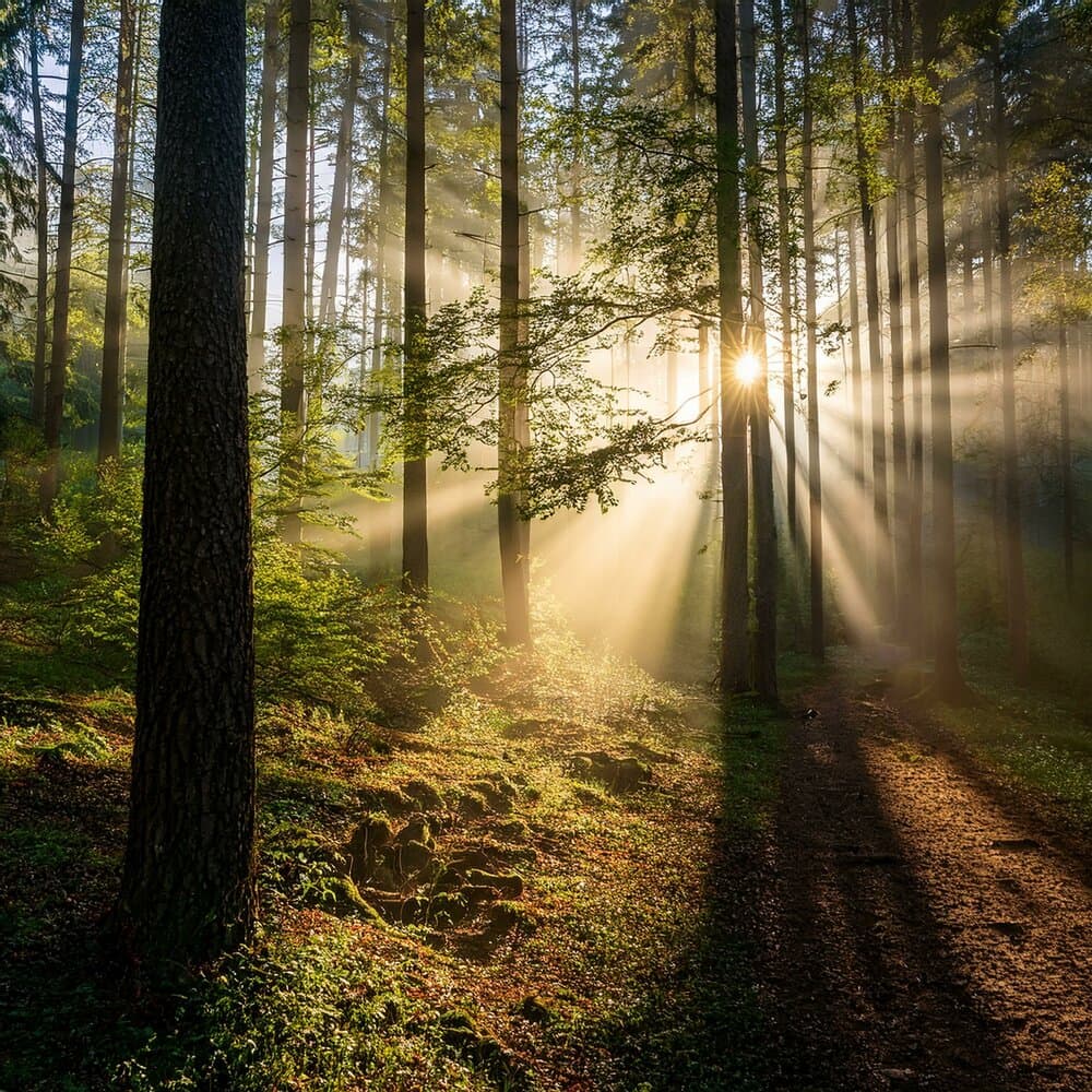 Relaxing Music Chill