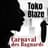 Toko Blaze