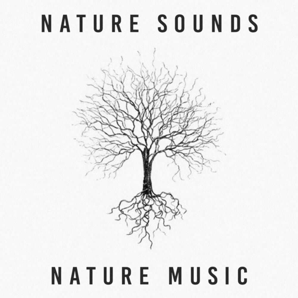 Nature Sounds Nature Music