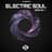 Electric Soul