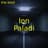 ION PALADI