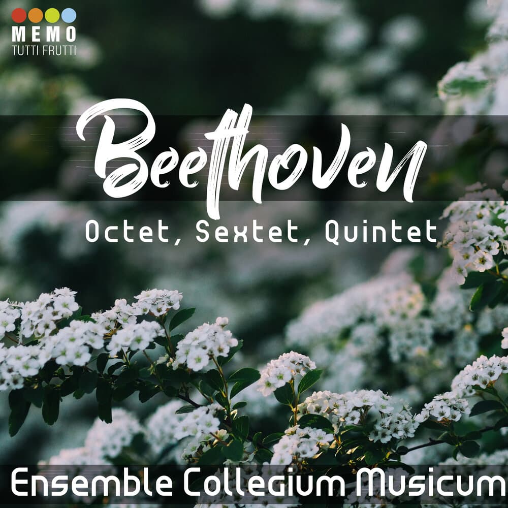 Ensemble Collegium Musicum