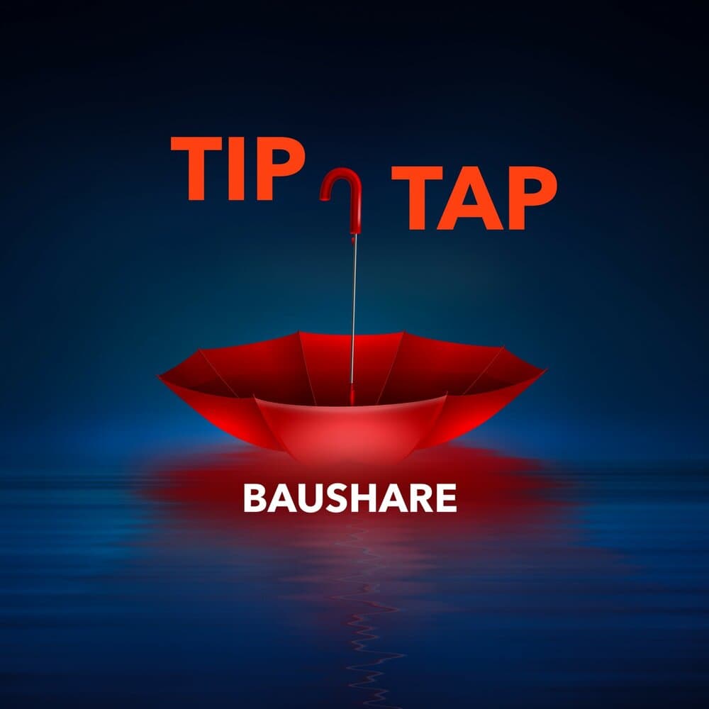 BauShare