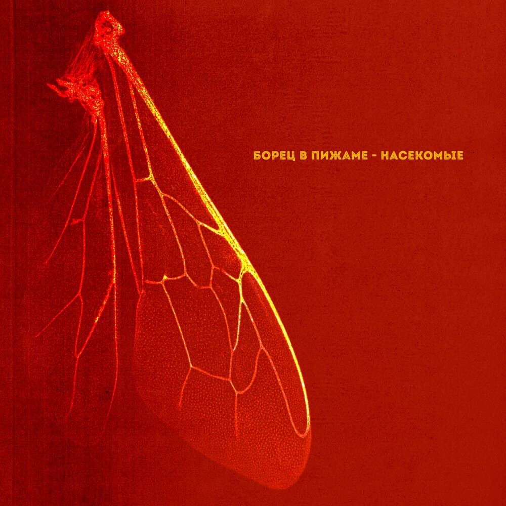 Борец в пижаме