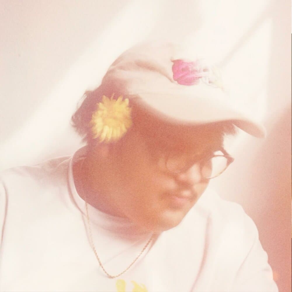 Dromedarios Mágicos