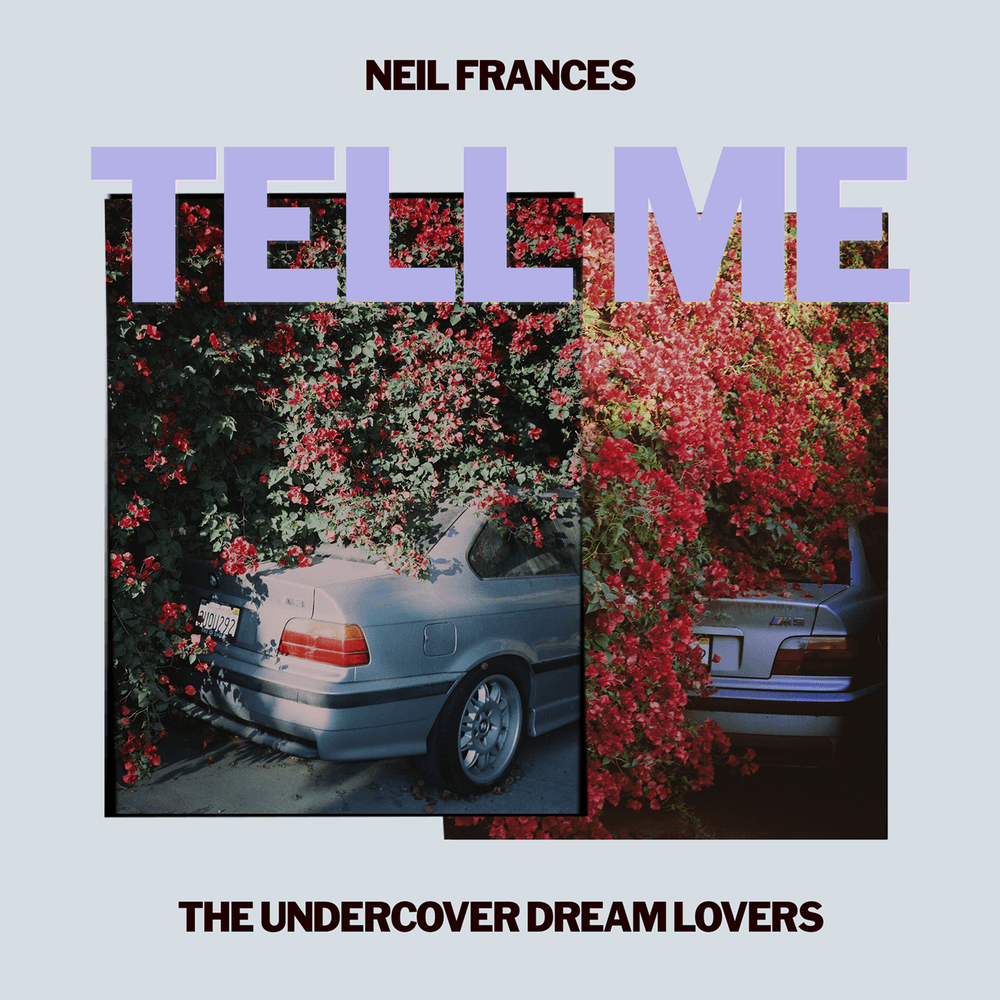 The Undercover Dream Lovers