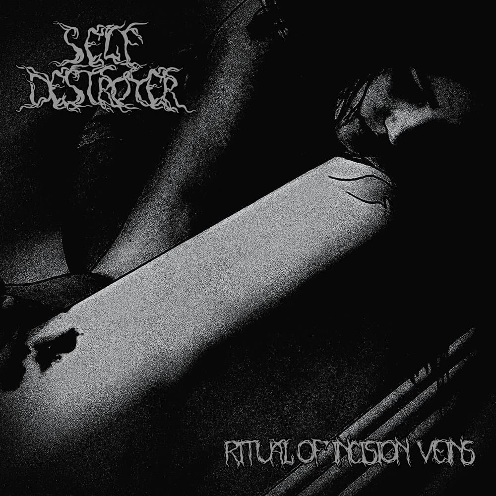SelfDestroyer