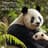 Disneynature Soundscapes