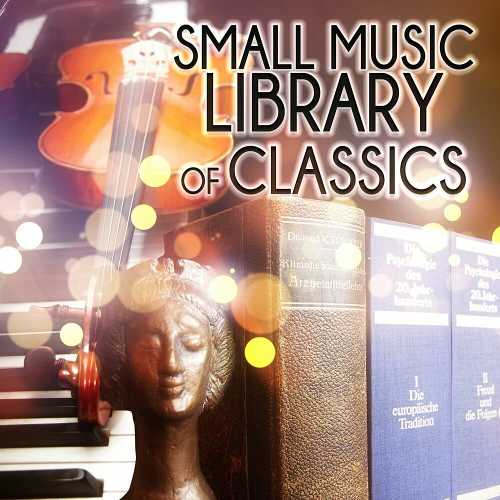 Small Music Library Maestro